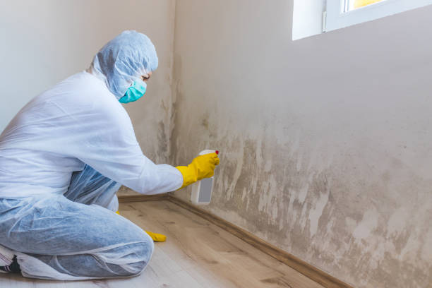 Licensed Mold Testing service in Gainesville, FL - WQB Mold Removal